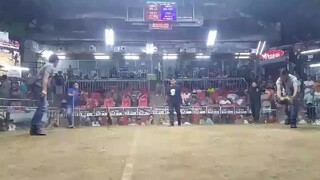 BRUCE CARABLADE WIN AT SALPUKAN EB 2024 FINALS