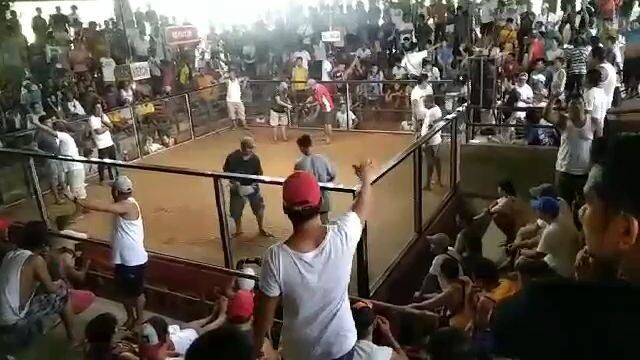 first fight win.. White kelso WPC banded❤️