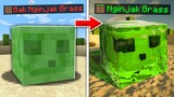 SETIAP GW NGINJAK RUMPUT, MINECRAFT GW SEMAKIN REALISTIC! (SEASON 2)