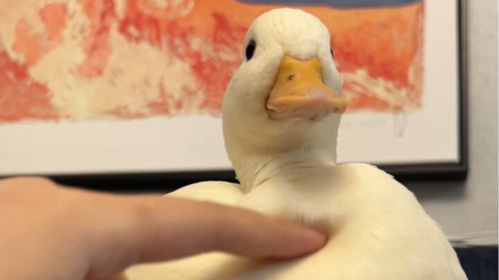 So delicious: Sometimes I really want to call the police.