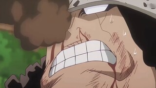 The only flaw of Akainu is that he didn't kill the Deserter King with one punch