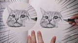 Menggambar kucing dalam satu goresan