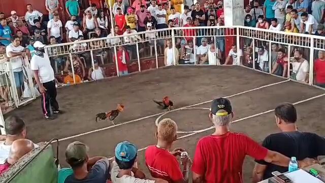 2 hits ulutan second fight (win)