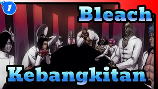 Bleach| Kebangkitan——Rasakan Trik Paling Ampuh di Hueco Mundo_1
