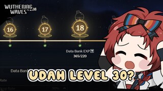 Udah Level 30 Ngapain? Lakukan Hal Ini! | Wuthering Waves