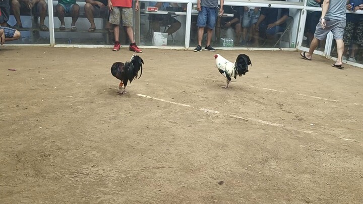 buang harang