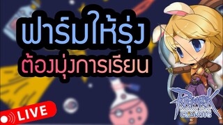 ฟาร์มที่ไหนรุ่ง พุ่งไปที่นั่น Live 51 | Ragnarok Online Classic