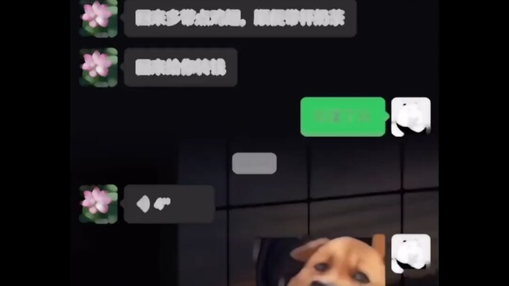 Little brother seems a bit upset.