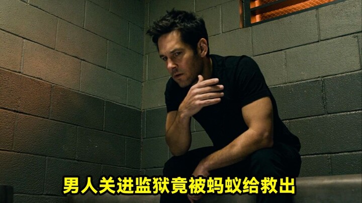 ชายคนหนึ่งถูกขังในคุก แต่ใครจะคาดคิดว่ากองทัพมดกลับมาช่วยเขา!