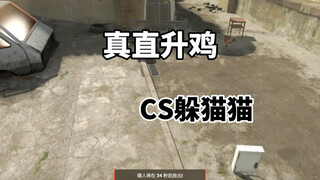 CS2 Petak Umpet: Ayam Helikopter