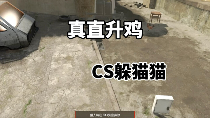 CS2 Hide-and-Seek: Helicopter Chicken