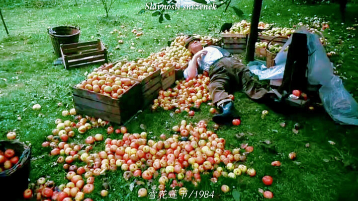 Heartwarming Shots of Fruits and Vegetables in Movies