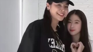 yo宝为爱加入Faye的土摇队伍，小马和ize也跟上来了