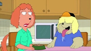 【Family Guy】Human and Dog Swap Universe (Part 2)