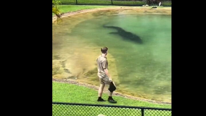 Prehistoric Giant Croc!!!