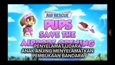 Paw patrol Episode 11 Episode 6 Sub indonesia