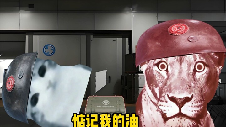 คุณคิดว่าสิงโตทำถูกต้องไหม?