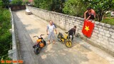 Cuộc Đua So Tài Giữa 2 Siêu Xe Của Mao Ca Và Mao Đệ Đệ - Test Chất Lượng Xe Mini Bike Và Z1000