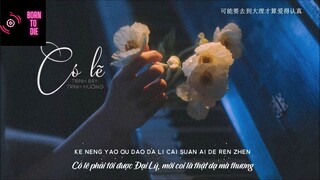 [Vietsub] Có lẽ (可能) - Trình Hưởng #MUSIC ♫