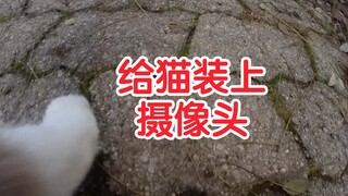 给猫装上摄像头，看她如何躲猫猫…