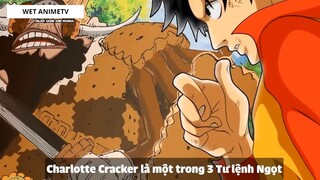 Top 7 Hải Tặc Kết Hợp Haki Với Trái Ác Quỷ _ 5