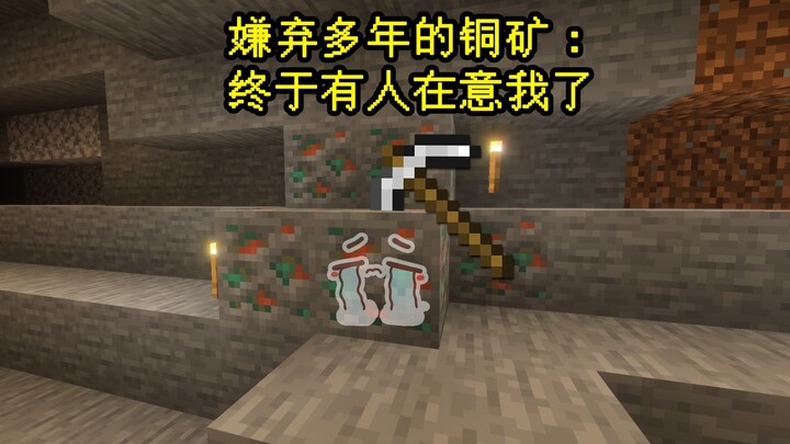 MC玩家看到铜块重磅更新态度Be like