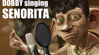 [Reup] Gia tinh Dobby (Hary Potter) cover "Señorita"