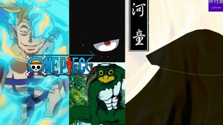 海贼王专题#184: 幻兽种河童果实再生能力者河松