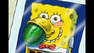 Một số cận cảnh thú vị trong SpongeBob SquarePants là gì?