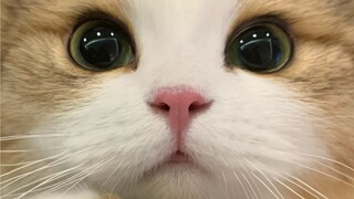 ให้ฉันสัมผัสสิ ให้ฉันสัมผัสสิ