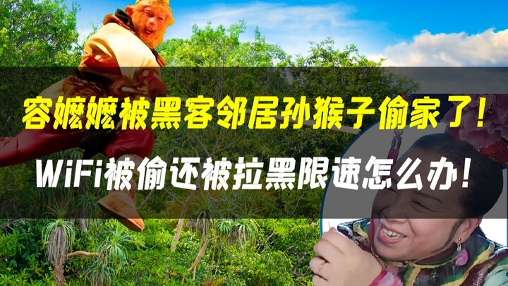 Gì cơ? Dung ma ma bị Tôn Ngộ Không trộm nhà rồi sao?