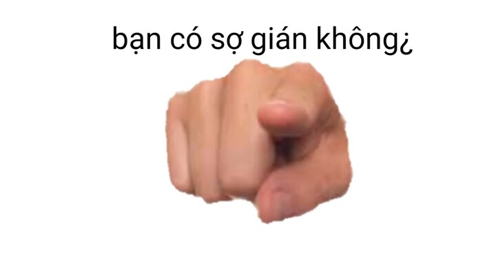 bạn có sợ gián không