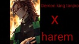 demon king tanjiro op x harem||texting story||(demon slayer)