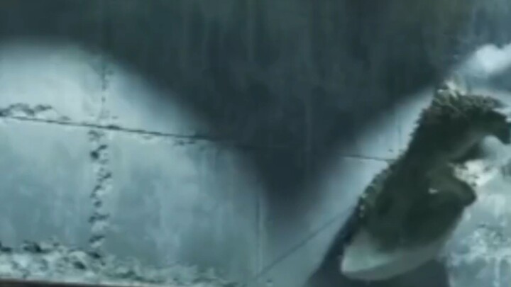 Godzila