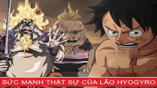 Sức mạnh của ông trùm cũ thế giới ngầm Hyogoro , chủ tịch giả vờ thử lòng Luffy