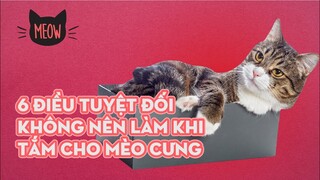 6 Điều Tuyệt Đối Không Nên Làm Khi Tắm Cho Mèo Cưng Nhà Bạn | Meow | Coi Là Ghiền