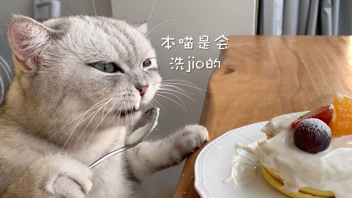 Elvis Presley turns into Jingle Cat and starts making Dorayaki online