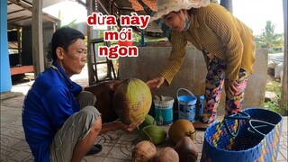 Cười Ra Nước Mắt Khi Tư Đi Mua Dừa Cho Vợ