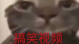 搞笑视频😂