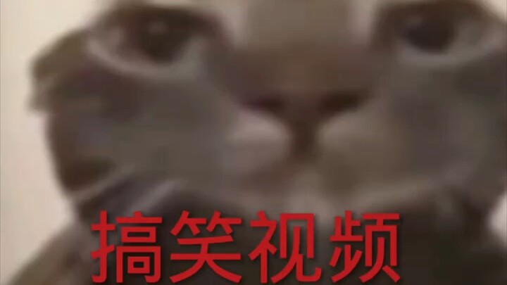 搞笑视频😂
