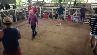 4th fight (W)