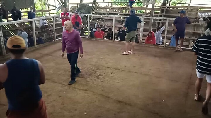 4th fight (W)