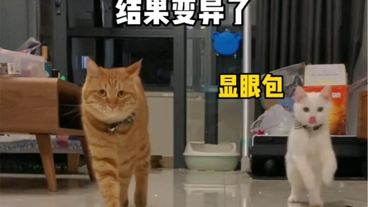 Sinh con đầu thì bình thường, sao sinh con thứ hai lại biến dị vậy? Rốt cuộc vấn đề nằm ở đâu?