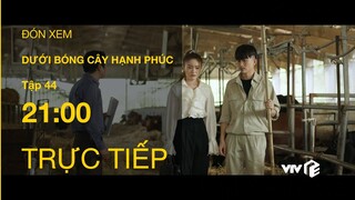 TRỰC TIẾP VTV1 | TẬP 44: Dưới Bóng Cây Hạnh Phúc