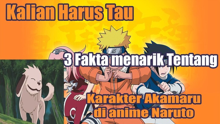 Kalian Harus Tau 3 Fakta Menarik Tentang Karakter Akamaru di Anime Naruto