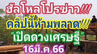 ฮัลโหลโปรข่าว!!! คลิปนี้ห้ามพลาด!!! เปิดดวงเศรษฐี!!! งวด16มี.ค.66