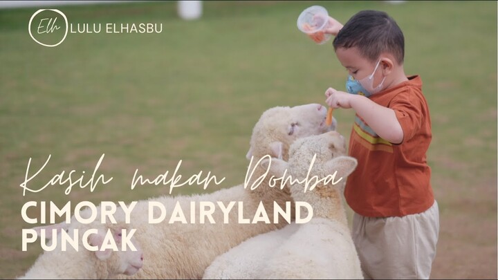 CIMORY DAIRYLAND PUNCAK