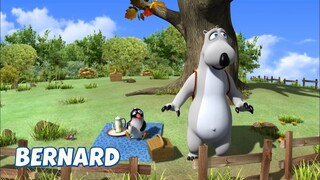 Bernard Bear || Saving Eva - Cartoon Children