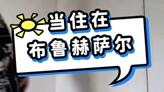 住在布鲁赫萨尔