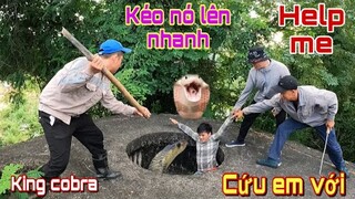 2 Thành Viên Mới Suýt Mất Mạng Khi Khám Phá Lô Cốt Đụng Phải Cặp Rắn Hổ Mang Hung Dữ | King Cobra